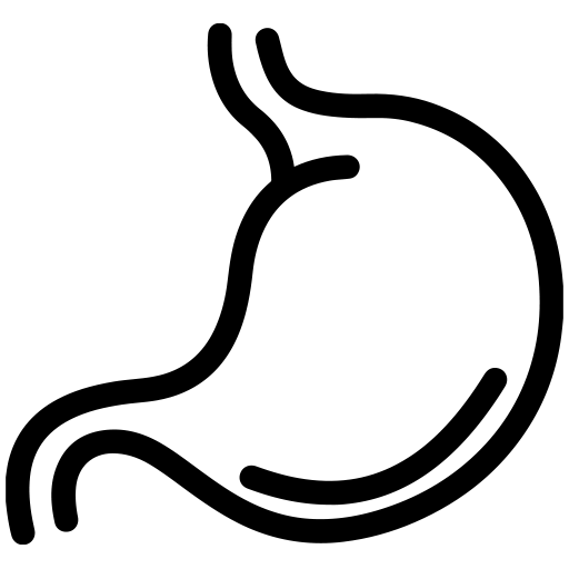 Digestion Icon